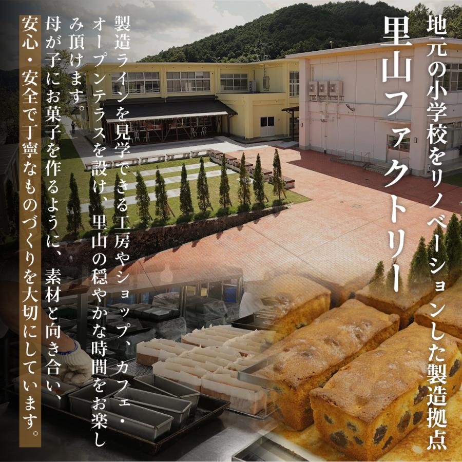 足立音衛門 季節限定 王妃様のフルーツケーキ パウンドケーキ フルーツ