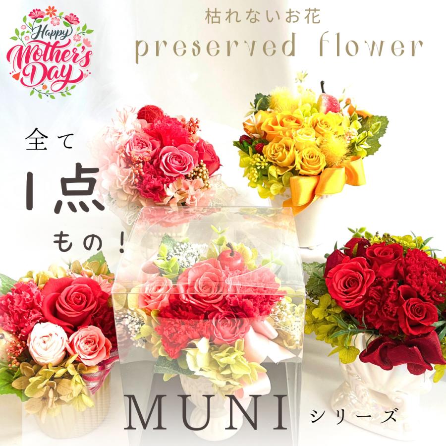 プリザーブドフラワー母の日 プレゼント 1点物 カーネーション 結婚祝い 退職祝い 新築祝い 出産祝い 敬老の日 義母 継母（Yahoo!・音ぎ花しotogibanashi）