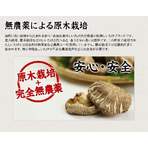12周年記念イベントが 干し椎茸 乾燥椎茸 こうこ シイタケ 国産 80g しいたけ 九州大分県産 原木栽培 干ししいたけ 
