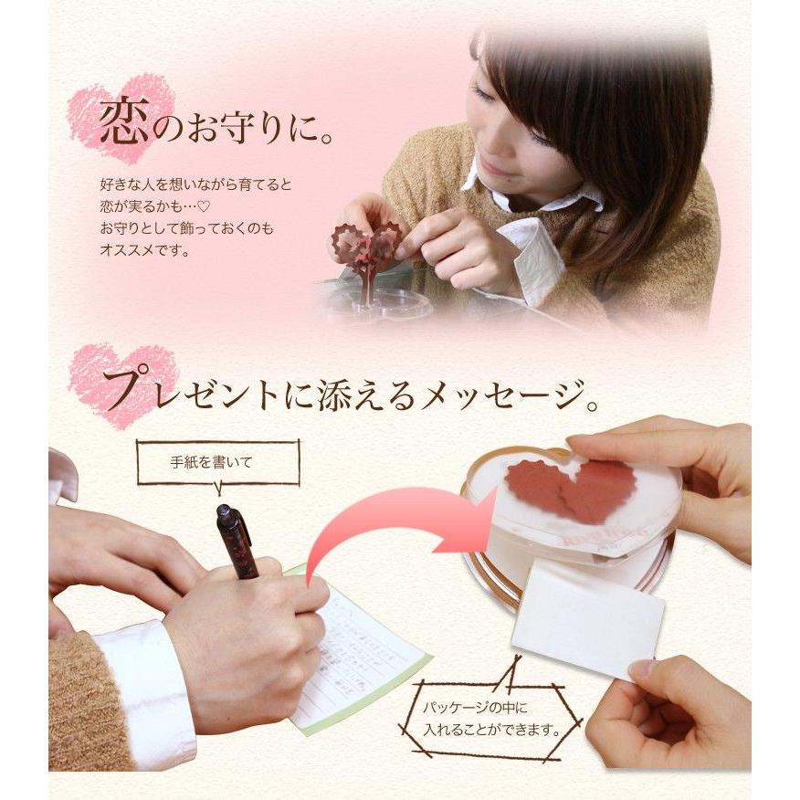 マジックラブツリーミニ 自分で育てるハート バレンタイン ホワイトデーのお返し 贈り物に 誕生日 結婚祝い 引き出物などにも Magic Heart J おとぎのバーチャルショップ 通販 Yahoo ショッピング
