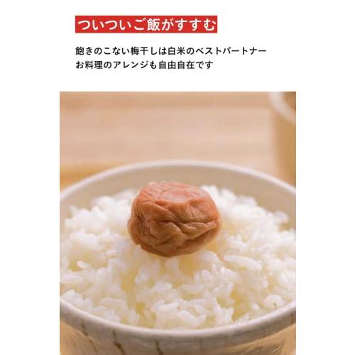 梅ボーイズ【無添加/紀州南高梅】ミネラル豊かな天日塩だけで漬けた