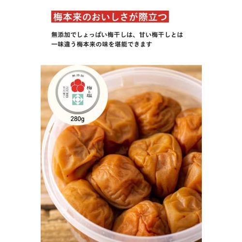 梅ボーイズ【無添加/紀州南高梅】ミネラル豊かな天日塩だけで漬けた