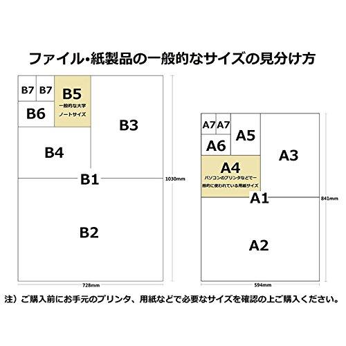 プラス ファイル スーパーエコノミー クリアファイル + A4 20ポケット