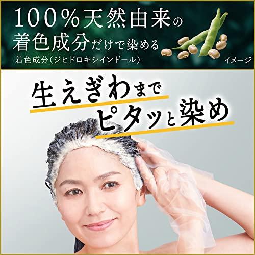 リライズ 白髪用髪色サーバー リ・ブラック (自然な黒さ) ふんわり