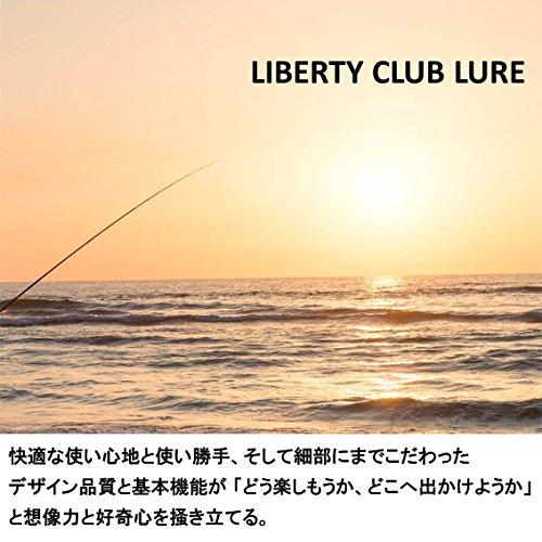 ダイワ(DAIWA) 万能振出ルアーロッド リバティークラブルアー 5105TLFS 釣り竿_2
