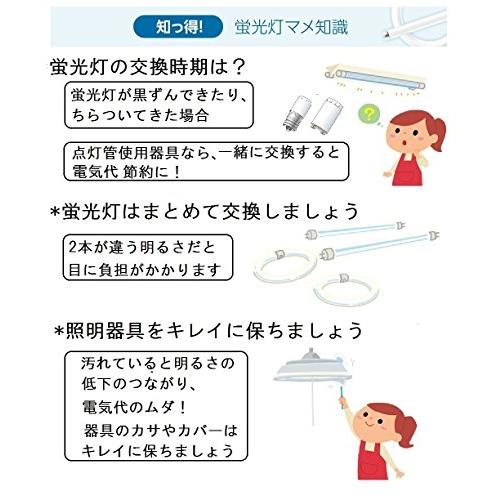 パナソニック 二重環形蛍光灯(FHD) 100形 クール色 昼光色 97W ツインパルックプレミア FHD100ECWLの画像