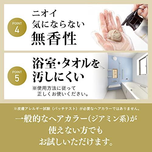 ブローネリライズ 白髪用髪色サーバー リ・ブラック (自然な黒さ
