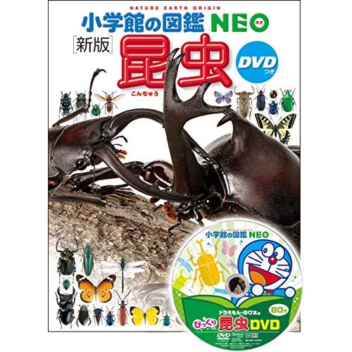 DVD付 新版 昆虫 (小学館の図鑑 NEO) : 雑貨屋MelloMellow - 通販