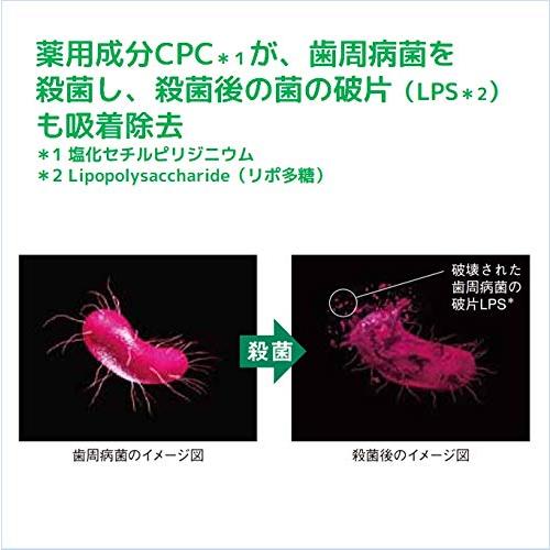 GUM(ガム) 歯周プロケア 歯周病予防 ハグキケア 薬用ハミガキ デンタルペースト [レギュラータイプ メディカルミントタイプ]｜otogizakka｜04