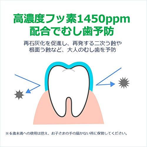 GUM(ガム) 歯周プロケア 歯周病予防 ハグキケア 薬用ハミガキ デンタルペースト [レギュラータイプ メディカルミントタイプ]｜otogizakka｜06