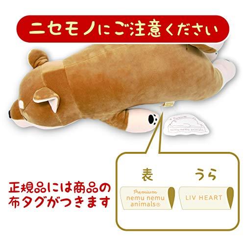 りぶはあと 抱き枕 プレミアムねむねむアニマルズ 柴犬のコタロウ L