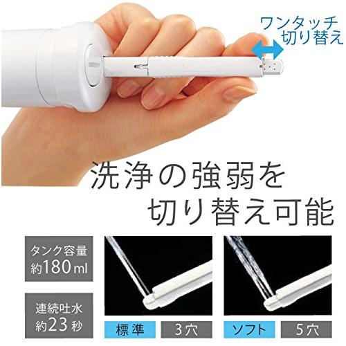 TOTO 【いつでもどこでも携帯できる】 携帯ウォシュレット グレー