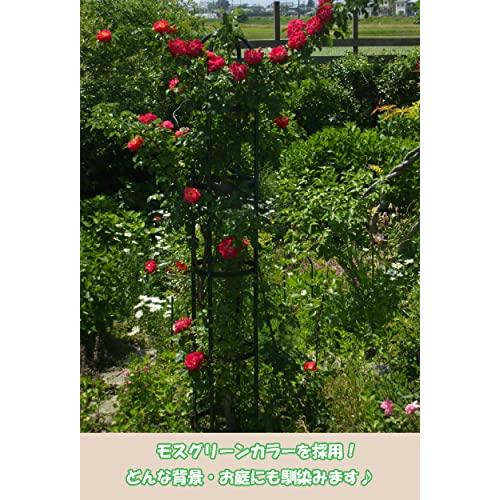 グリーンガーデン(Green Garden) 新型 オベリスク エクセレント