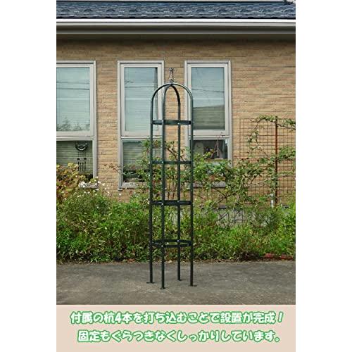 【在庫セール】グリーンガーデン(Green Garden) 新型 オベリスク エ グリーンガーデン(Green Garden) 新型 オベリスク エクセレント