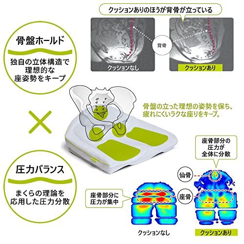 西川 (Nishikawa) 骨盤サポートクッション ポリエステル キープス 理想