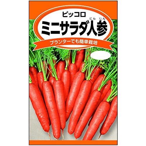 日本農産種苗 種(野菜) ミニ野菜セット 901095 小さなスペースでも栽培