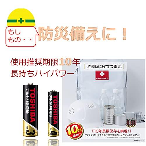 東芝 【アルカリZ】10年保存 アルカリ乾電池 単3形 20本パック LR6Z