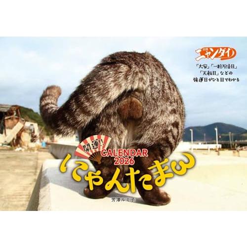ハゴロモ にゃんたまカレンダー2026／芳澤ルミ子 2026年
