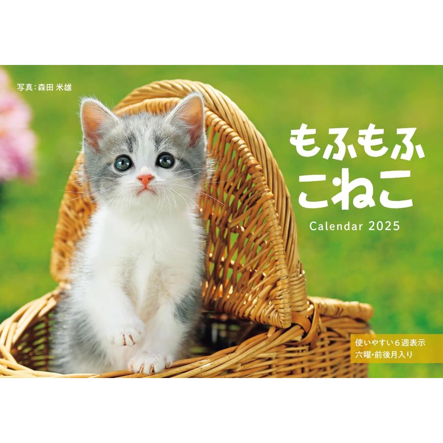 カレンダー2025 もふもふこねこ（月めくり/壁掛け） (インプレス
