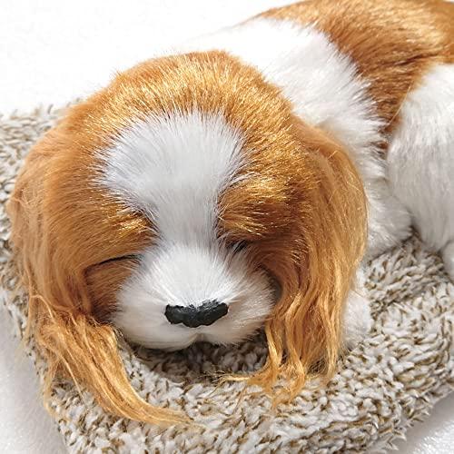 TATOTTE 犬のぬいぐるみ リアル 置物 寝顔が可愛いわんこ 活性炭入り 癒し インテリア(キャバリア)｜otogizakka｜02