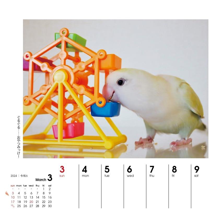 カレンダー2024 週めくりカレンダー いんこ日和（週めくり/卓上・リング） (ヤマケイカレンダー2024)｜otogizakka｜11