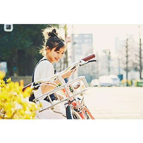 RITEWAY(ライトウェイ) 自転車 前カゴ アーバン フロント RITEWAY(ライトウェイ) 自転車 前カゴ アーバン フロント