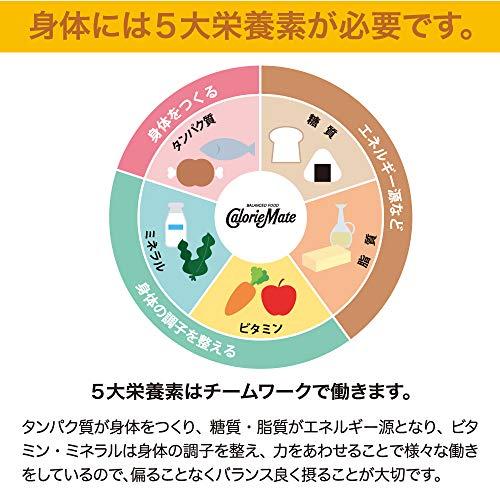 大塚製薬 カロリーメイト ブロック チョコレート 4本×10個｜otogizakka｜02