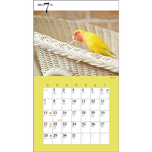 2024年カレンダー かわいい小鳥 (誠文堂新光社カレンダー)｜otogizakka｜12