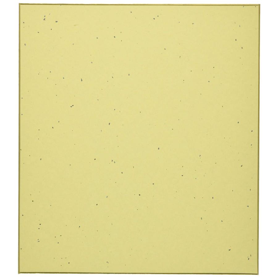 長門屋商店 色紙 奉書 【10枚入】 シ-540〔0920540〕 : 雑貨屋