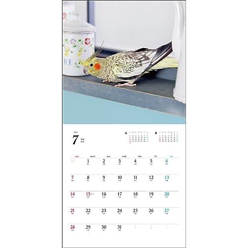2024年カレンダー オカメインコ (誠文堂新光社カレンダー)｜otogizakka｜02