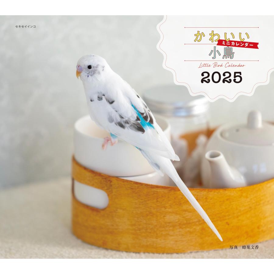 2025年カレンダー かわいい小鳥 (誠文堂新光社カレンダー) | 