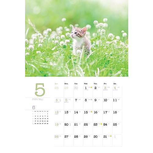 カレンダー2024 こねこと暮らす 保護猫チャリティーカレンダー（月めくり/壁掛け） (ヤマケイカレンダー2024)｜otogizakka｜12