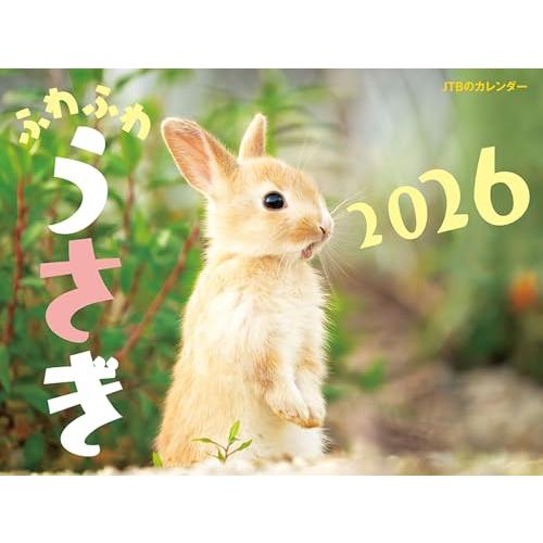 JTBのカレンダー ふわふわうさぎ 2026（壁掛け/月めくり/動物