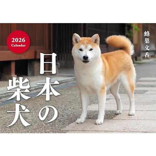 日本の柴犬カレンダー 2026（壁掛け） ([カレンダー]) : 雑貨屋