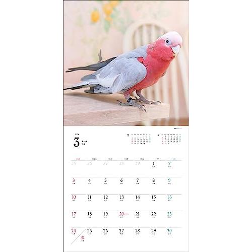 2024年カレンダー 鳥と暮らす インコ&オウム (誠文堂新光社カレンダー)｜otogizakka｜09