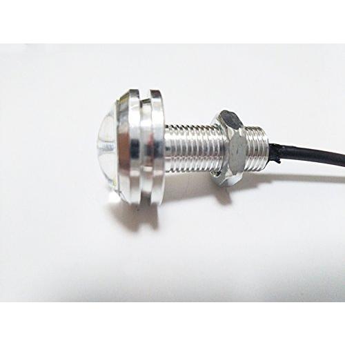 LEDデイライトキット 埋め込み式 ホールソー付属 デイライト LED 防水 イーグルアイ 大玉 23mm 10個セット 12V
