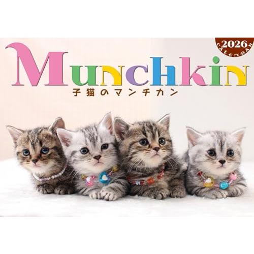トライエックス 子猫のマンチカン 2026年カレンダー 51×36cm CL-382