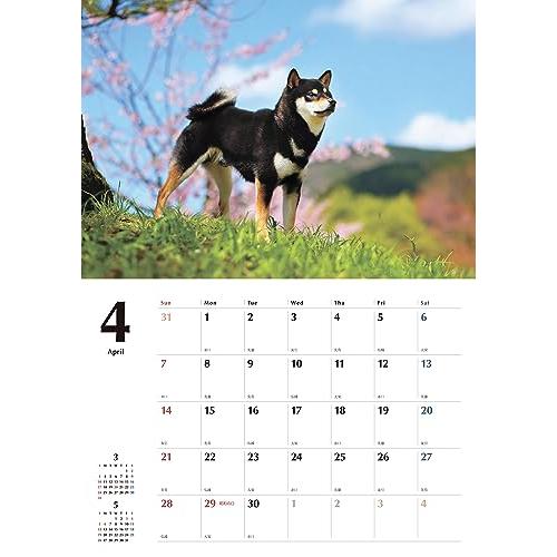 黒柴カレンダー2024（壁掛け）｜otogizakka｜03