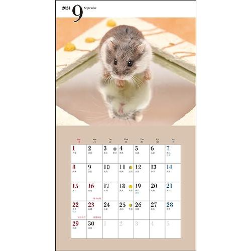 2024年カレンダー かわいいハムスター (誠文堂新光社カレンダー)｜otogizakka｜03