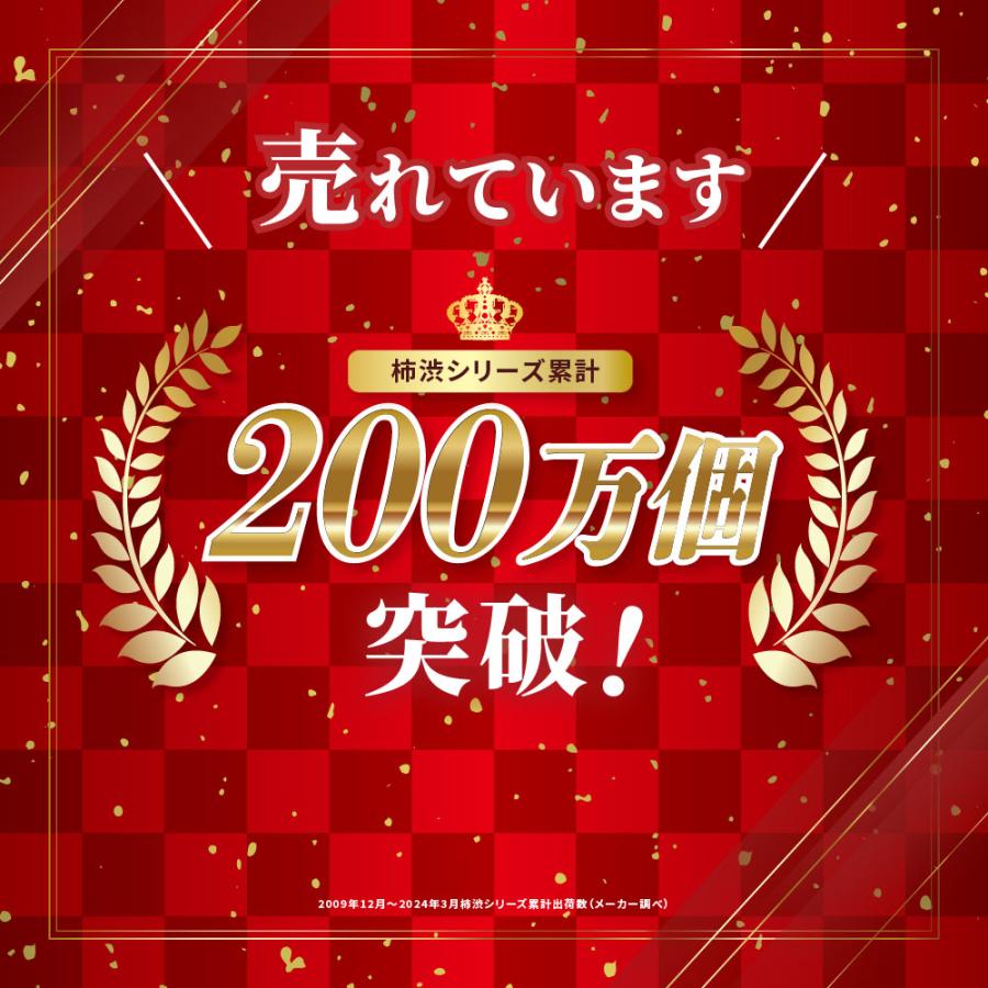 エスジェ 公式 薬用柿渋エキス配合ボディソープEX（つめかえ用