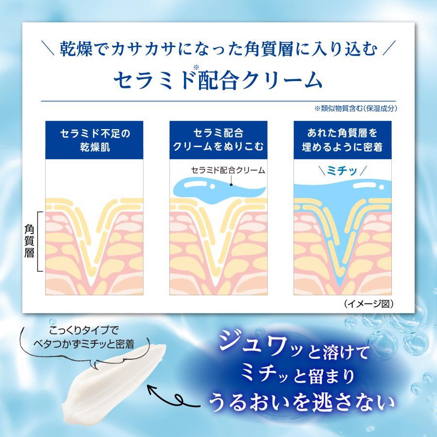 セラミ堂 モイストベールクリーム 35g / 保湿クリーム セラミド
