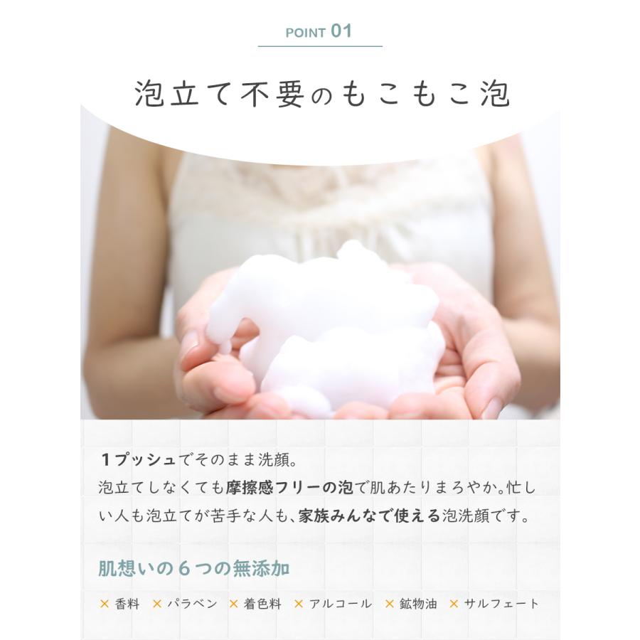 公式】 世界の果実 すっきり泡洗顔 500mL ボトル 本体 洗顔 泡洗顔