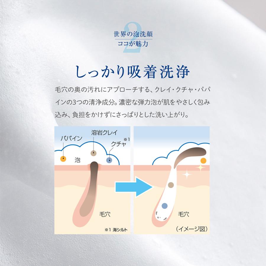 世界の果実酵素洗顔 otohadalabo_z60l012