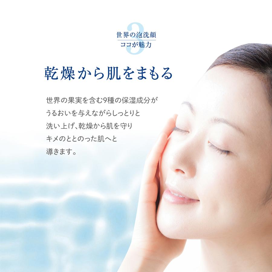 世界の果実 すっきり泡洗顔(つめかえ用) 400mL 洗顔 洗顔料 毛穴 無