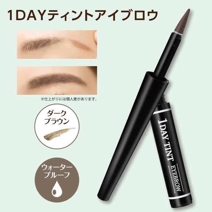 公式】 1DAYティントアイブロウ アイブロウ 1日落ちない 眉 眉毛