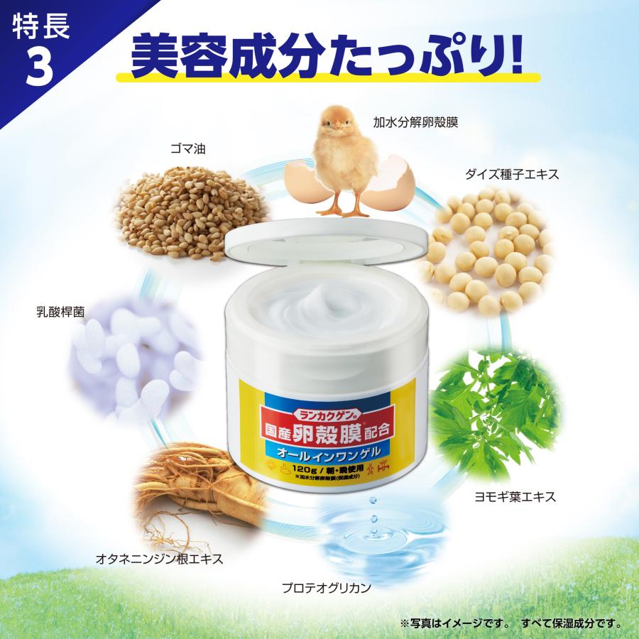ランカクゲン 卵殻膜配合オールインワンゲル 120g ／ オールインワン