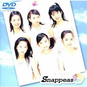 スナッピーズ あー夏休み 中古アイドルDVD : 音吉プレミアム - 通販
