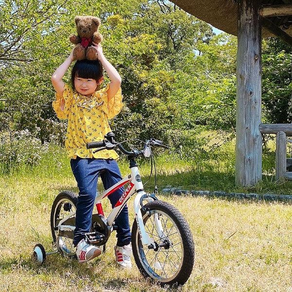 子供用 自転車 18インチ 幼児用 自転車 BMXタイプ 泥除け 補助輪付き 男の子 女の子 d-18tpb｜otoko-style｜24