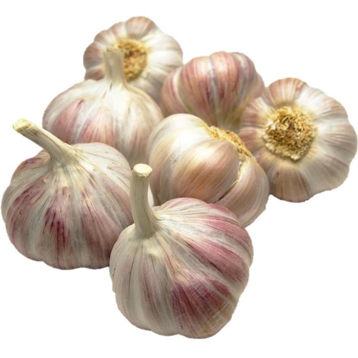 アイユローズ ピンク大蒜 フランス産 約５００ｇail Rose De Lautrec 毎週金曜日入荷 にんにく Nz 34 103 男の台所 通販 Yahoo ショッピング