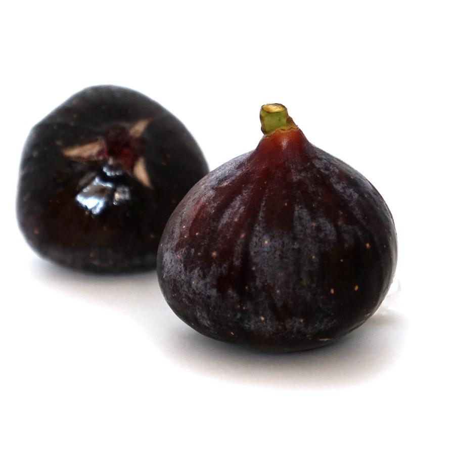 黒イチジク 今なら値下げ1000円 黒いちじく ビオレ ソリエス 小木 